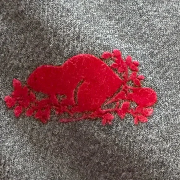 Roots Kids Canada Sweats Hoodie Hooded Kanga Pocket Sweatshirt Youth 13/14 - Picture 9 of 9